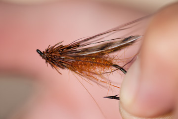Fly Tying Result
