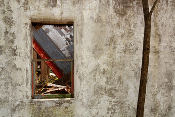 old wall with window and tree