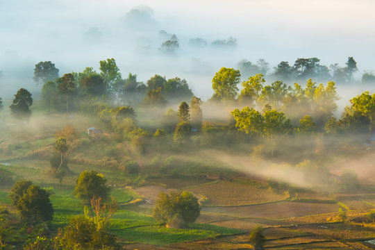 City in the mist 16