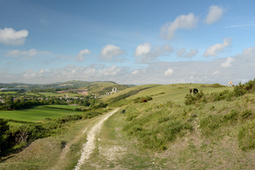 Path over Ballard Down above Corfe in Dorset