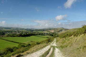 Fototapeta na wymiar Path over Ballard Down above Corfe in Dorset