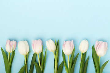 A row of tulips with copy space background for Mother's day decoration