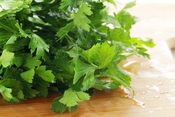 A bunch of green parsley