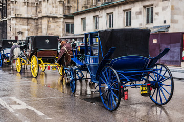 Fototapeta na wymiar Vienna, Austria - December 21, 2017. Horse carriages parking next to St. Stephen's Cathedral. Horse-drawn fiacre with coachman is popular viennese touristic attraction.