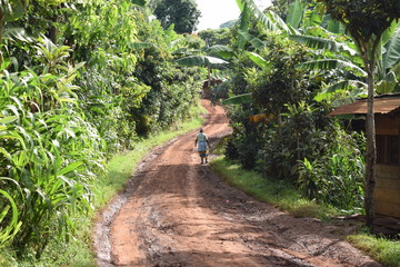 タンザニアの山道