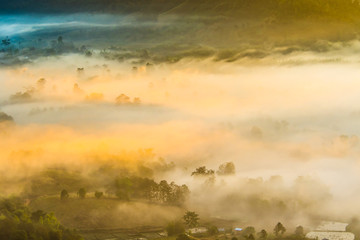 Obraz premium City in the mist 9