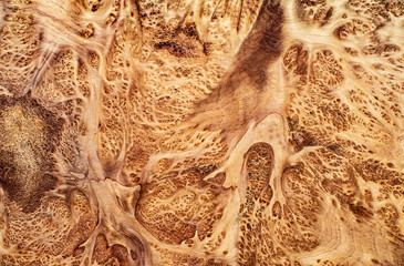 Real Tabaek burl wood striped exotic wooden beautiful pattern
