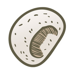 Hand drawn illustration sketch style champignon mushroom composition icon. Vector icons for web design. Farm fresh food isolated on white background. Doodle style mushroom