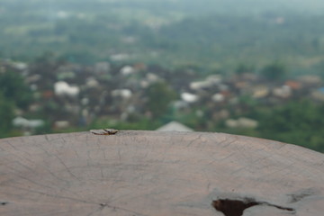 teak wood texture with village views