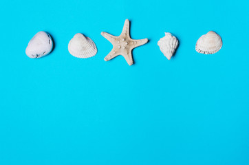 Shell, pebble, starfish on a blue background.