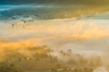 City in the mist 10