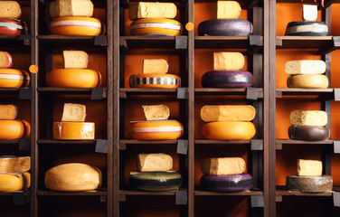 Assortment of tasty cheese on shelves in store