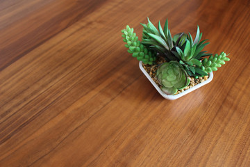 多肉植物のオブジェ