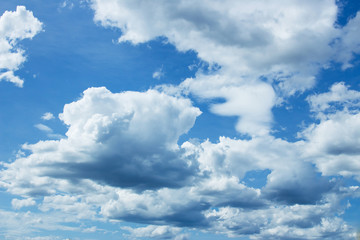 different sky in  season time  of change