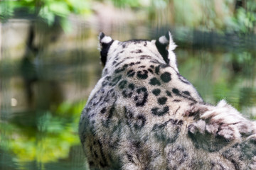 Zoo Veszprém in Hungary and Budapest