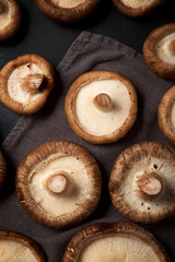 Mushrooms close up