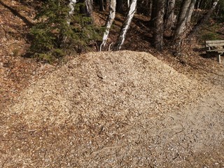 Holzspäne Sägespäne