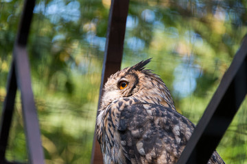 Zoo Veszprém in Hungary and Budapest