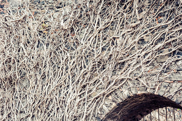 Acicastello – ancient norman castle in Acitrezza, Catania, Sicily, Italy.