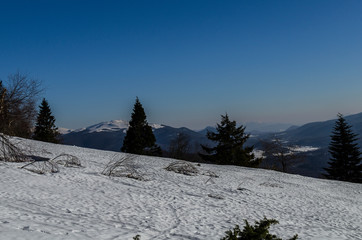 Tarnica Bieszczady 