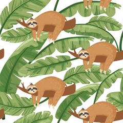 Wall murals Sloths Seamless pattern with cute lazy sloths and exotic palm banana leaf. Vector jungle floral background for textile, postcard, wrapping paper, cover, t-shirt.