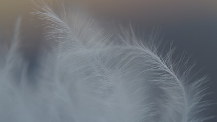 OLYMPUS DIGITAL CAMERA © Magorzata