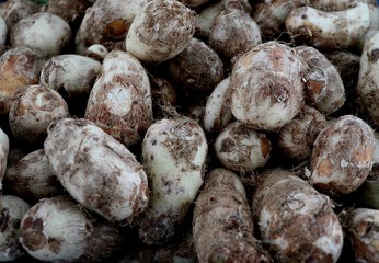 Arbi Vegetable, Colocasia root