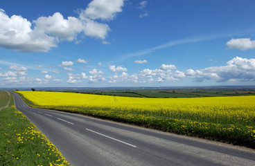 Road in the Yorkshire countryside - England