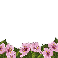 Frame for text with spring flowers of pink cherry, sakura, on a white background. Idea for design postcard, invitation, background, congratulation. EPS 10 vector.