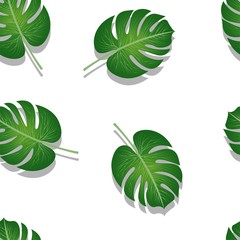 pattern of palm leaves