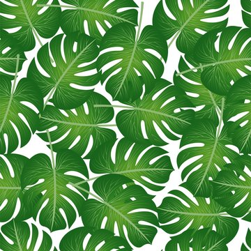 pattern of palm leaves