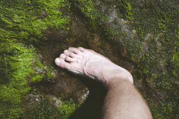Dinosaur footprint versus human foot