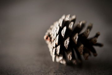 Pine cones background