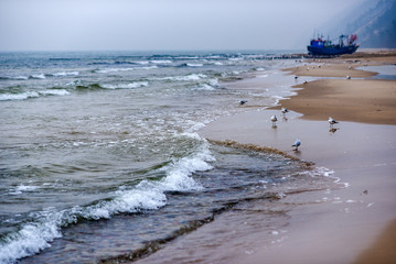 Beach during a cloudy day and fog, sea landscape.