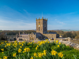 St David's Cathedral, Pembrokeshire, Wales.   