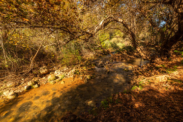 Snir nature reserve, Israel