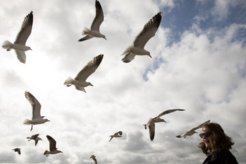 Obraz premium Young woman feeding seagulls 