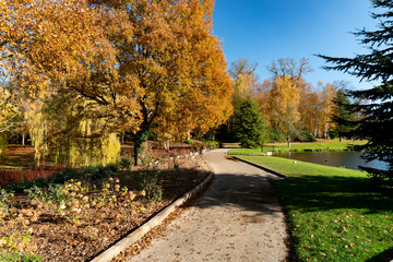 Autumn Colours