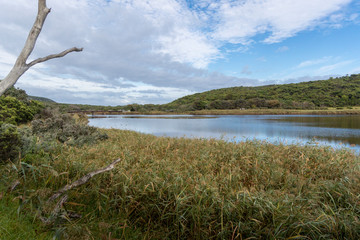 Aire River, Victoria, Australia