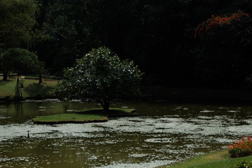 lake in the park sri lanka