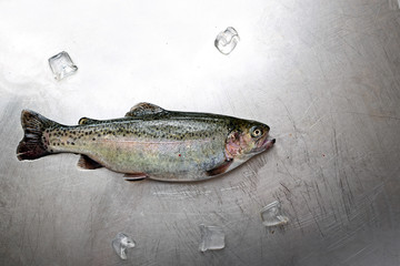 Pstrąg. Świeża ryba na sklepowej ladzie. © foodandcook