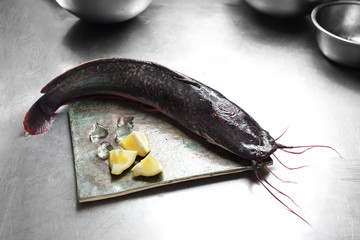 Sum afrykański. Ryba na kuchennym blacie. © foodandcook