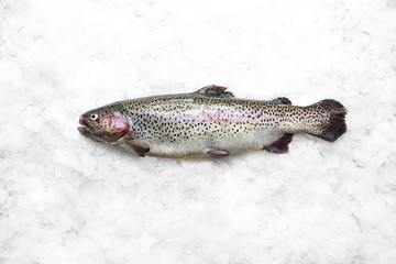 Pstrąg tęczowy. Ryba na lodzie © foodandcook