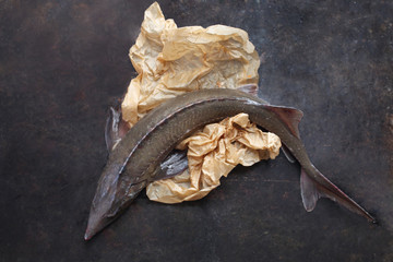 Jesiotr. Świeża ryba w papierze. © foodandcook