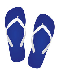 Blue flip flops. vector illustration