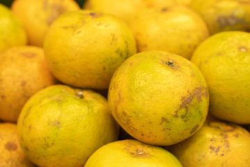 Oranges on wallpaper