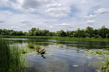 Obraz na płótnie Canvas lake