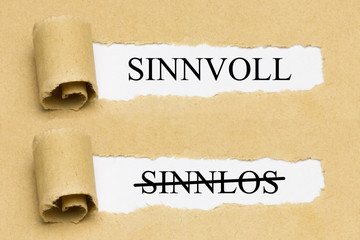 Sinnvoll