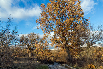Fototapeta premium Sunset view of park in town of Hisarya, Plovdiv Region, Bulgaria
