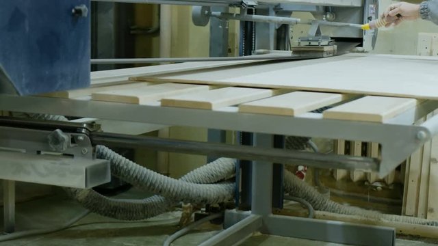 Worker polishes a sheet of plywood on a belt sander